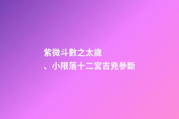紫微斗數之太歲、小限落十二宮吉兇參斷